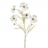 COSMOS BLANCO 75CM TALLO