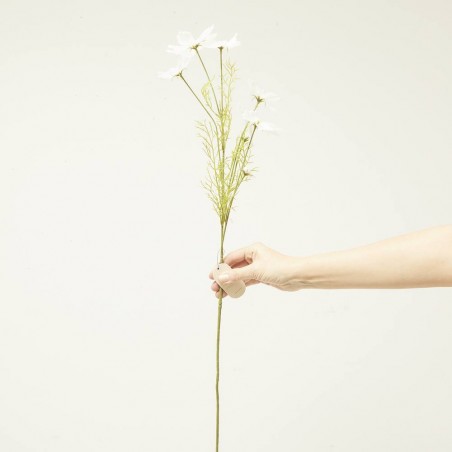COSMOS BLANCO 75CM TALLO