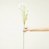 COSMOS BLANCO 75CM TALLO