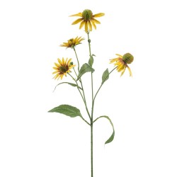 RUDBECKIA AMARILLA 70CM TALLO