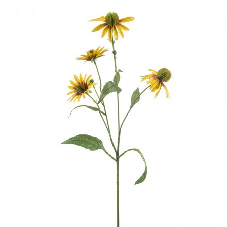 RUDBECKIA AMARILLA 70CM TALLO