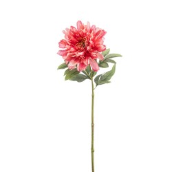 PEONIA CORAL 58CM TALLO