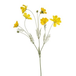 COSMOS AMARILLO 90CM TALLO