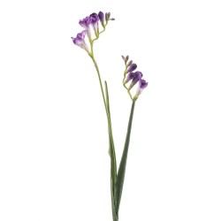 FREESIA LILA 80CM