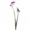 FREESIA LILA 80CM