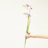 FREESIA LILA 80CM