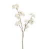BLOSSOM MANZANA BLANCO 72CM