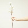 BLOSSOM MANZANA BLANCO 72CM