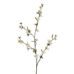 RAMA CHAENOMELES BLANCA 108 CM