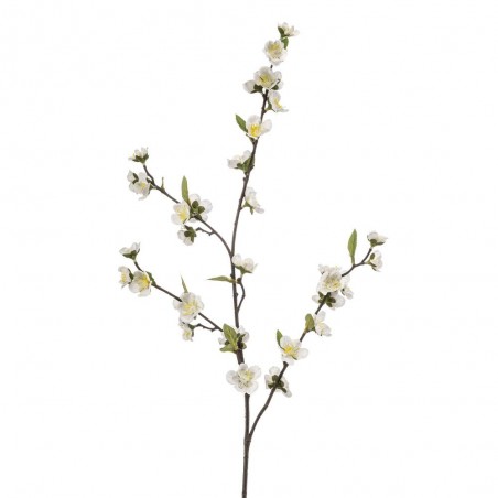 RAMA CHAENOMELES BLANCA 108 CM