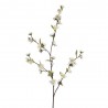 RAMA CHAENOMELES BLANCA 108 CM