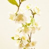 RAMA CHAENOMELES BLANCA 108 CM
