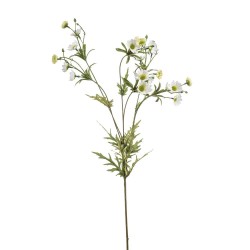 CRISANTEMO BLANCO 85CM TALLO
