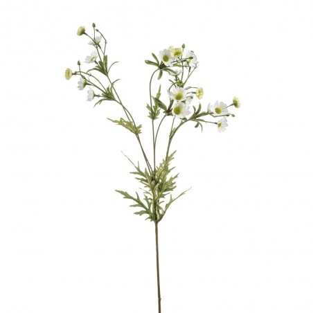 CRISANTEMO BLANCO 85CM TALLO