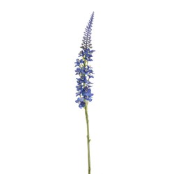 ROCIO DE LYSIMACHIA AZUL 66 CM