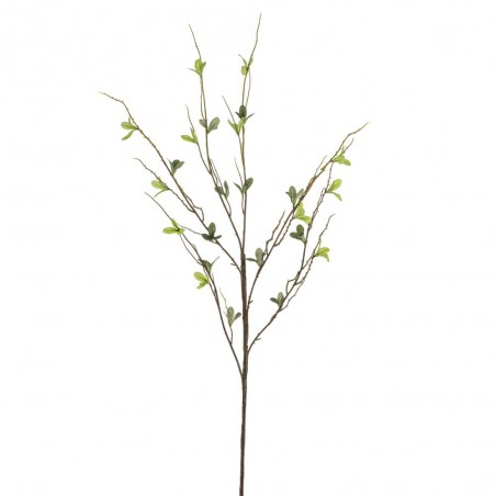 AGUACATE VERDE 90CM