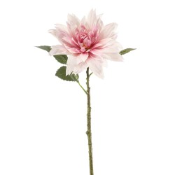 DAHLIA ROSA88CM
