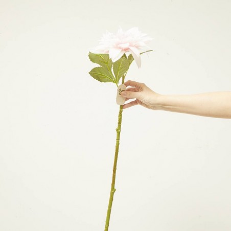 DAHLIA ROSA88CM