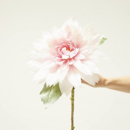 DAHLIA ROSA88CM