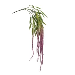 AMARANTHUS PURPURA 100CM