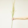 FLOR DE GRASS  X3 ROSA 115CM