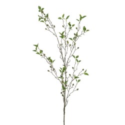 OLIVE VERDE 120CM