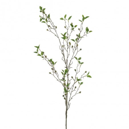 OLIVE VERDE 120CM
