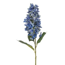 HORTENSIA PANICULATA XL AZUL 98CM TALLO