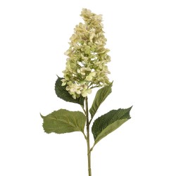 HYDRANGEA PANICULATA VERDE 98CM
