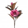 MAGNOLIA X2 BEAUTY ROSA 85CM
