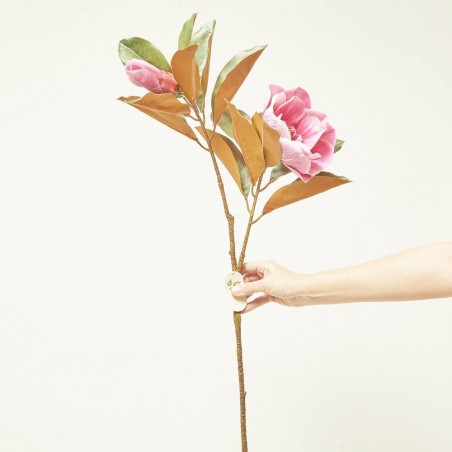 MAGNOLIA X2 BEAUTY ROSA 85CM