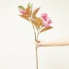 MAGNOLIA X2 BEAUTY ROSA 85CM