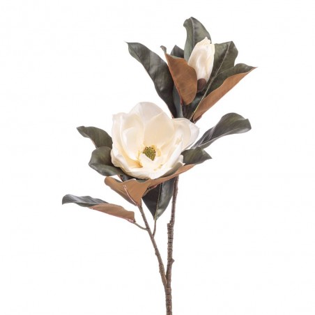 MAGNOLIA X2 BEAUTY CREMA 85CM