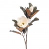 MAGNOLIA X2 BEAUTY CREMA 85CM