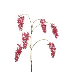 WISTERIA X6 FUCSIA 120CM