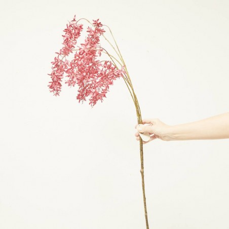 WISTERIA X6 FUCSIA 120CM