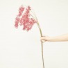 WISTERIA X6 FUCSIA 120CM