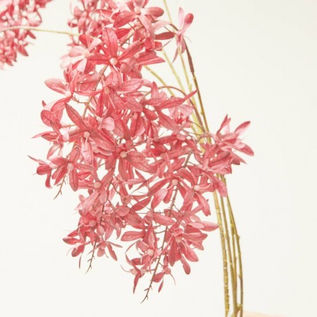 WISTERIA X6 FUCSIA 120CM