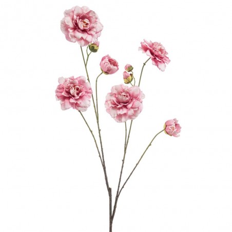 CAMELIA ROSA 110CM