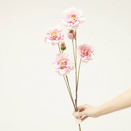 CAMELIA ROSA 110CM