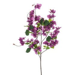 BUGANVILLA MORADA 100CM
