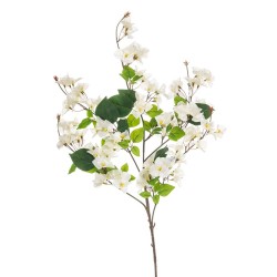BUGANVILLA CREMA 100CM