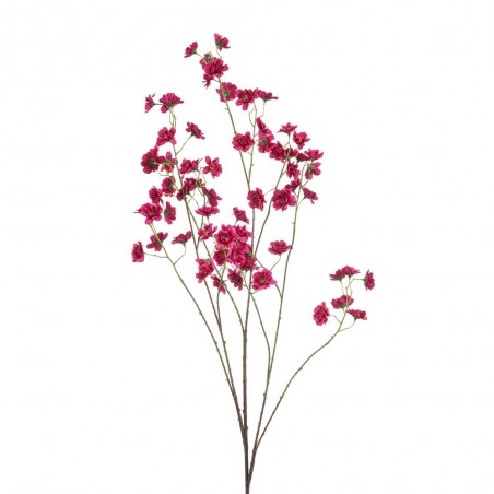 BLOSSON SPRAY BEATY 135CM