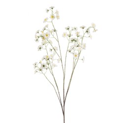 BLOSSOM BLANCO 135CM
