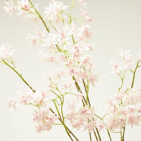 JASMIN ROSA 140CM