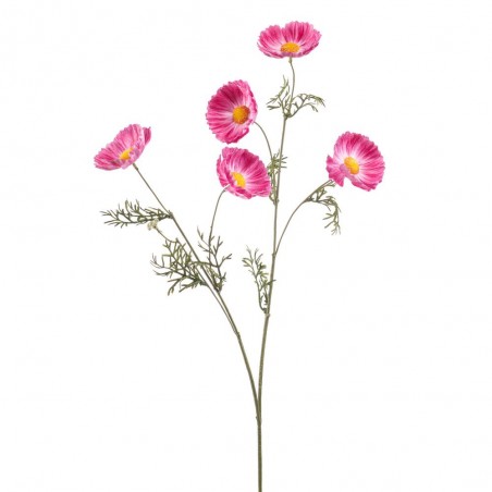 COSMOS ROSA 75CM TALLO