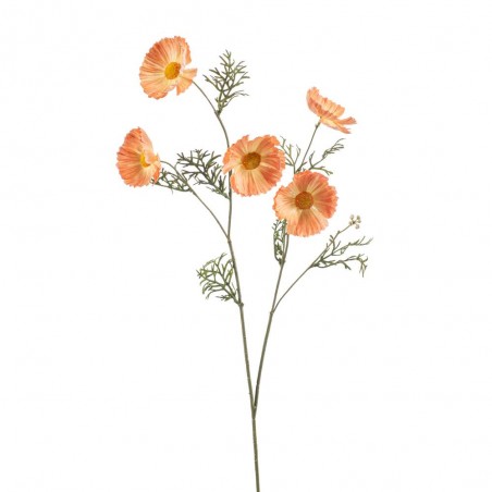 COSMOS NARANJA 75CM TALLO