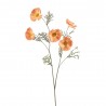 COSMOS NARANJA 75CM TALLO