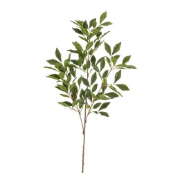 FICUS VERDE 85CM