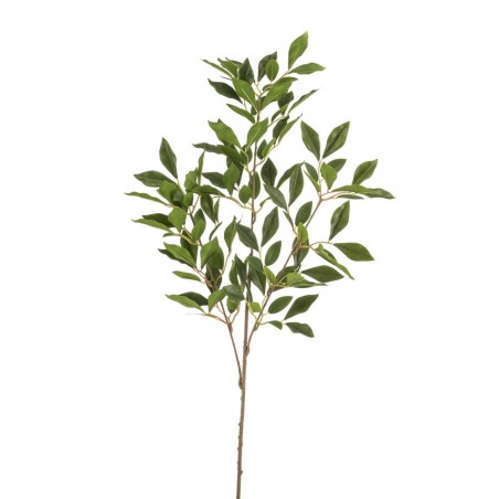 FICUS VERDE 85CM